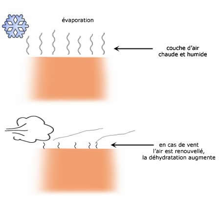 Déshydradation de la peau beaucoup plus rapide en cas de vent